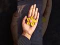 DIY fabric flower 😱| #shortfeed#diy#makewithsonali#craftideas#youtubeshorts#fabric#youtube#ytshorts