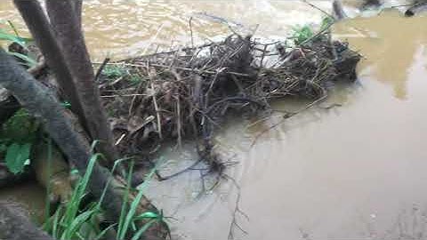 Guồng quay lấy nước các của cư dân vùng cao ❤️