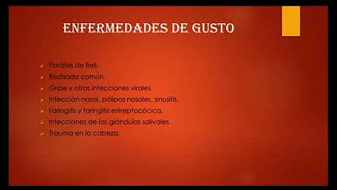 los 5 sentidos