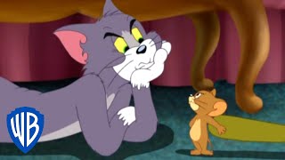 Tom & Jerry | The Household Chase | WB Kids Thumb