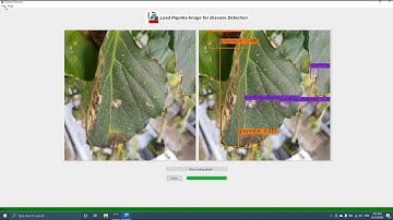 Python GUI/Front-End API for Machine Learning Projects | Example @ Paprika Plant Disease Detector