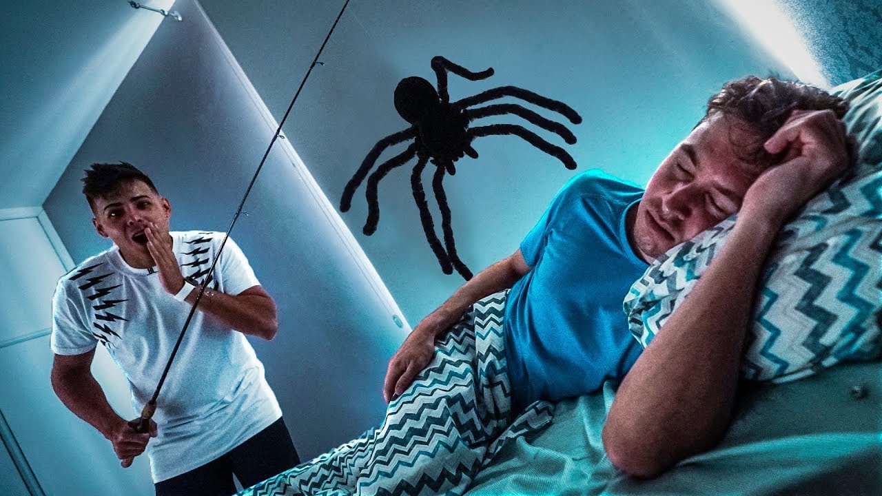 ACORDEI MEUS AMIGOS COM UMA ARANHA ASSUSTADORA
