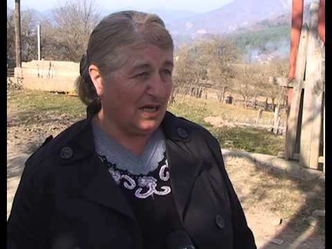 ფორუმი - სოფელი მზეთამზე