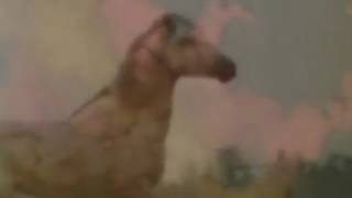 heimyl - ride groove 2