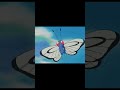 Y2 Pokemonchannel Pokemon Anime Y2 Pokemonchannel Pokemon Anime