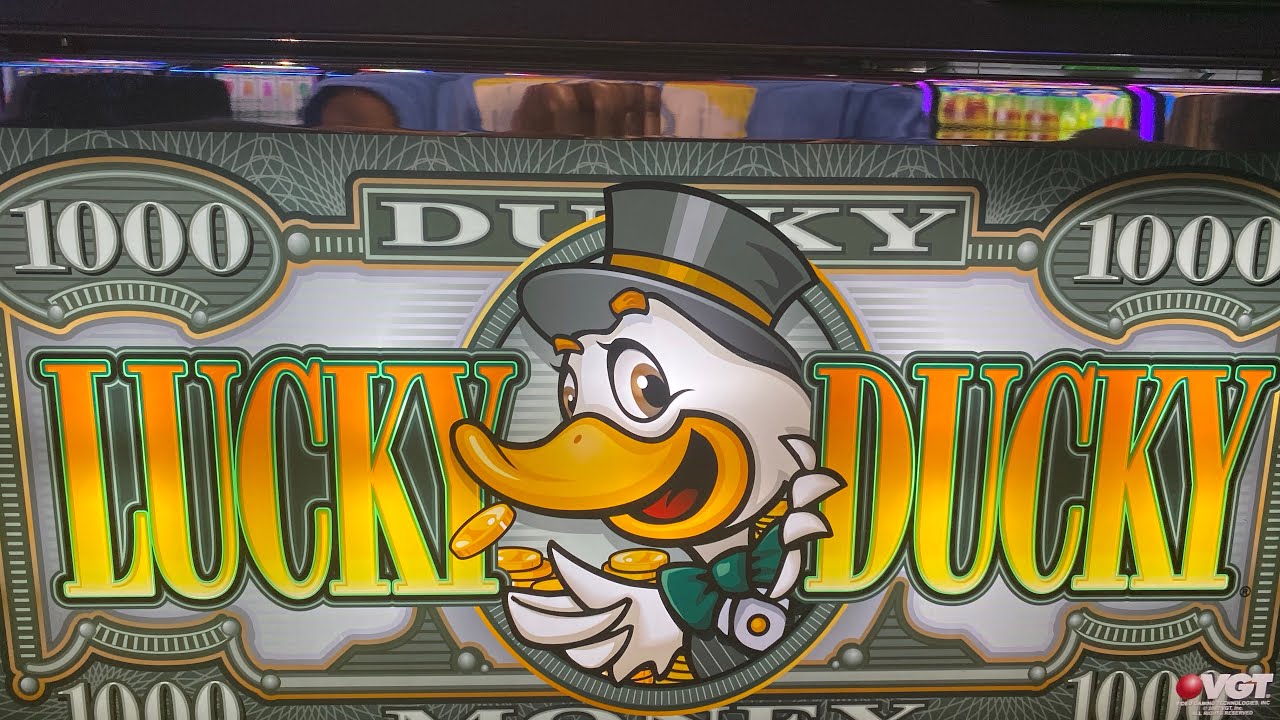 Lucky duck рабочее зеркало