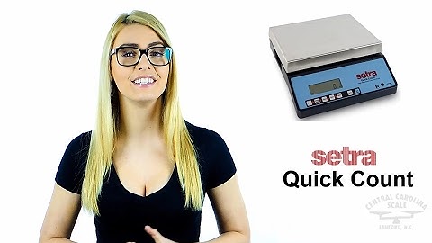 Setra Quick Count Scale Overview