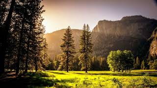 Meadows | Turn Your TV Into Art | Vintage Art Slideshow For Your TV | 1Hr of 4K HD Paintings   HD 10