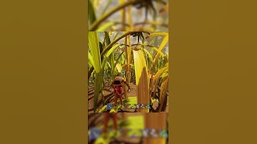 Trying to fly #grounded2 #groundedgame #groundedgameplay #gamer #gaming #videogames