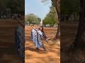 Just trial 🙂‍↕️🎻.... ❤️#gotviral #dance #youtubeshorts #shortvideo #dancer #alluarjun #utube