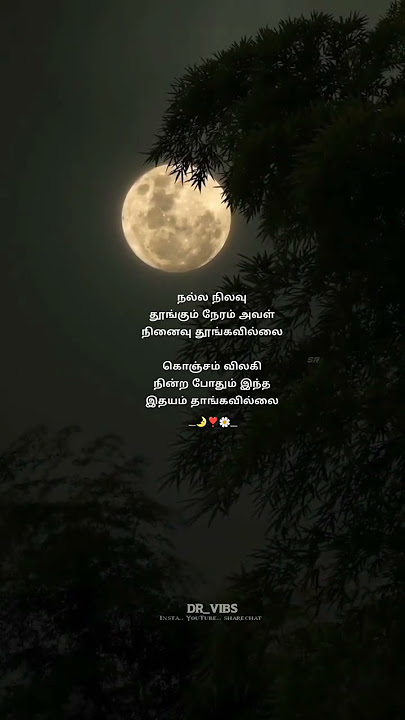 kaatru vaanga ponen🌛❣️ whatsapp status 🎧#tamiloldsongs #oldsong #oldisgoldsongs #mgr #trendingshorts