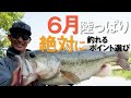 アフター〜回復バスの攻略法！府中湖モンスターを捕獲 / 水野浩聡【バス釣り】