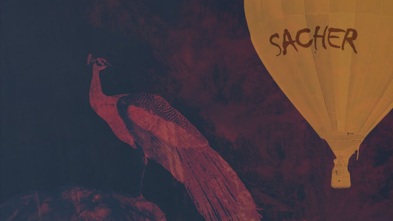 Sacher - Vidaj rane curica (Official video)