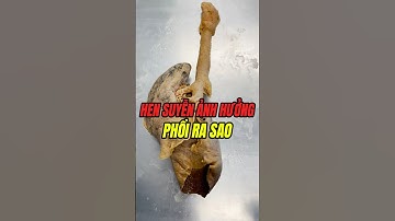 Phổi bạn khi hen suyễn trông ra sao? #health #anatomy #tragianghealth #asthmaproblems #healthtips