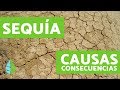 Causas de las SEQUÍAS - Consecuencias de las SEQUÍAS