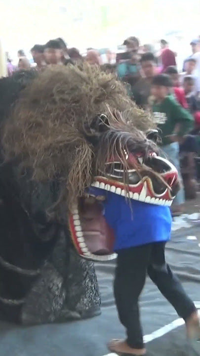 barongan makan orang ngesti wargo budoyo #barongankendal #barongan