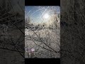 доброе утро#зима#природа#счастье