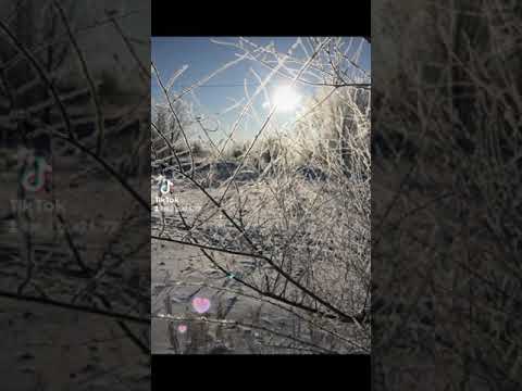 доброе утро#зима#природа#счастье