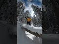 Snowboarding Powder Tree