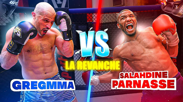 GregMMA Vs Salahdine Parnasse II : même punition ?