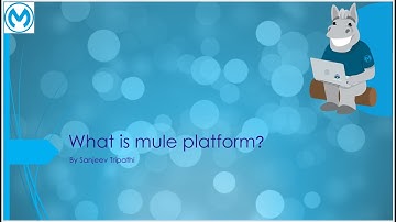 What is mule platform?