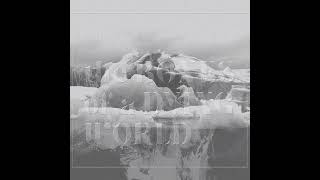 If These Trees Could Talk - Solstice