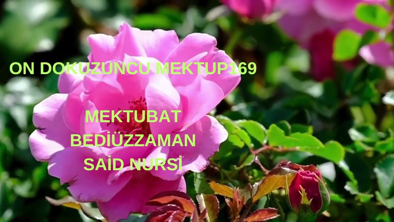 ON DOKUZUNCU MEKTUP169