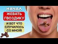Жевал по 2 бутона ГВОЗДИКИ в день и избавился от 10 НЕДУГОВ!