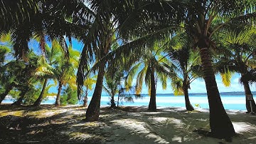 108 سورة الكوثر - صوت الشيخ ياسر الدوسري