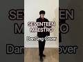 #세븐틴 #maestro #seventeen #singing #vocals #dance #cover #kpop #vocaldancecover #wuwu #DanSingCover