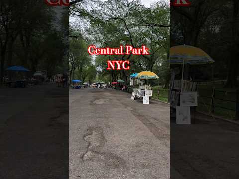 Exploring Central Park