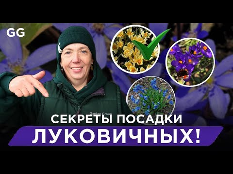 Как украсить сад