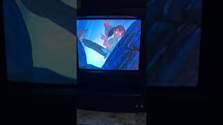Mr. Smee says bitch