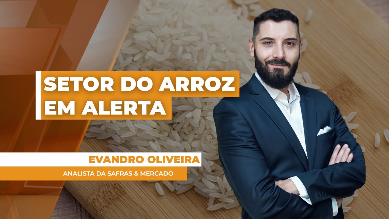 Custo de produção bem acima dos preços deixa setor do arroz em alerta