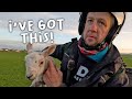 Catching sheep without a dog   lambing day 12