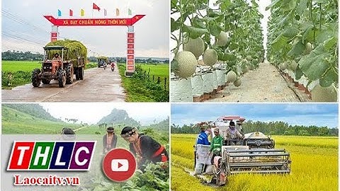 Lồng ghép nguồn vốn thực hiện các chương trình mục tiêu quốc gia  | THLC