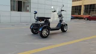 : three wheel citycoco 2000W with rear basket.