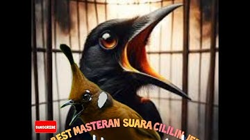🔴THE BEST MASTERAN 💫 SUARA CILILIN JERNIH @gandagandoeLkicau777 #masteranburung #cililin 