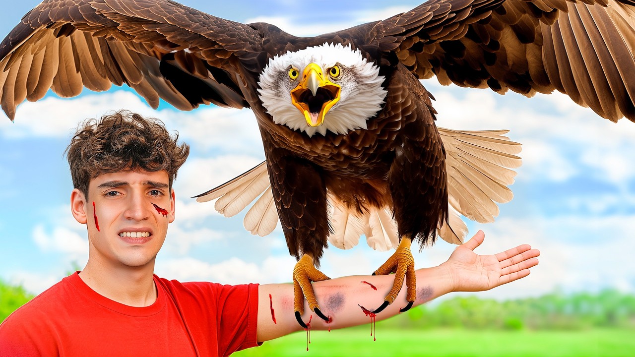 🩸Mi Nuevo Águila es un Peligro y no Tiene Piedad🩸