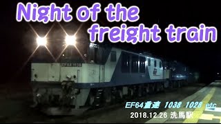 【Night of the freight train. EF 64 重連】1045号機1015号機 1023号機1008号機 1038号機1028号機