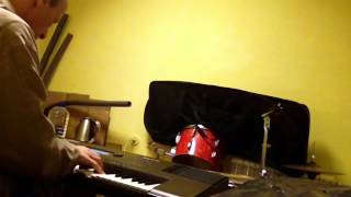 Roland E 600(The days of wine and roses)