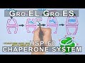 Mechanism of Chaperone Assisted Folding | Gro EL-ES System