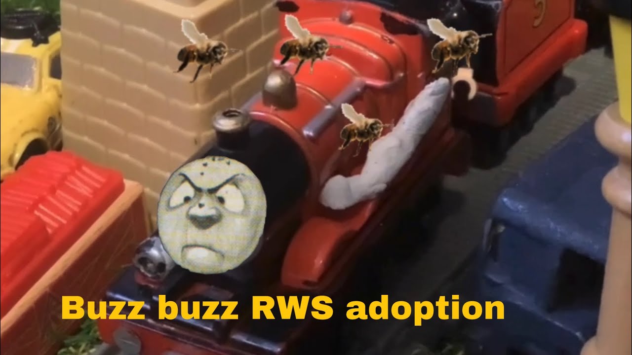 Buzz buzz RWS adoption - YouTube