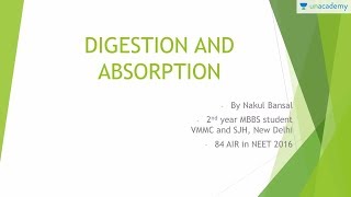 Digestion and Absorption For Pre Medical Exams in an Easy Way : Digestive Tract Part 1 screenshot 2