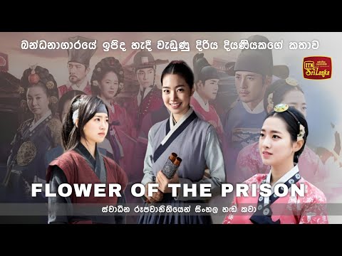 Download Sooriya Kusuma Kusuma Korean Drama Coming Soon On ITN | The Flower in prison