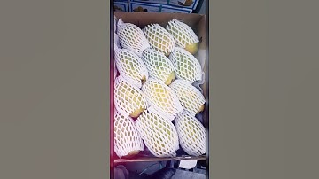 𝐡𝐨𝐰 𝐭𝐨 𝐞𝐱𝐩𝐨𝐫𝐭 𝐦𝐚𝐧𝐠𝐨#𝐬𝐡𝐨𝐫𝐭 #𝐯𝐢𝐝𝐞𝐨 #𝐯𝐢𝐫𝐚𝐥