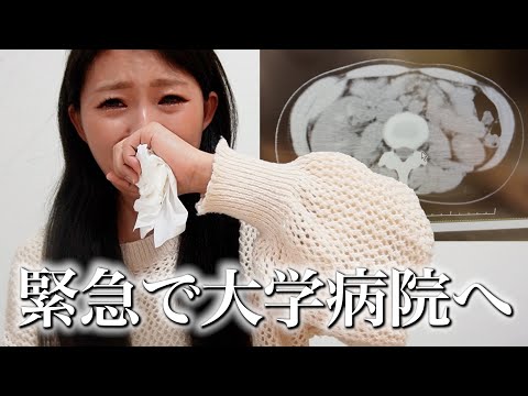 ♡リーちゃんママ様ご確認ページ♡ The CT scan results are bad] I can't even think about trying to