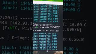 T rex Miner with Octopus algorithm using unmineable pool I don't see the connection