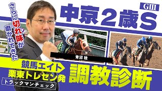 NEW ザ・競馬 II mqdefault.jpg