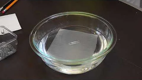 Science 101 - Paper Clip Float